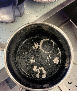 柿树虫病防治，识别常见虫害，掌握有效方法