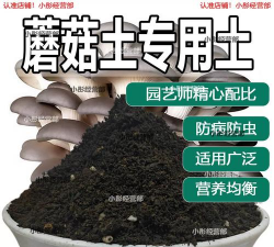 葡萄栽培，掌握关键技术，实现优质丰产