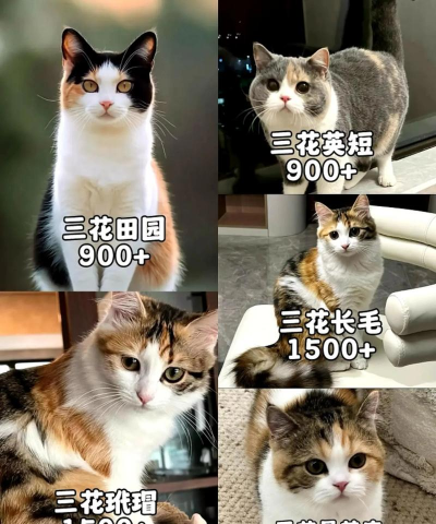 柿树虫病防治，识别常见虫害，掌握有效方法