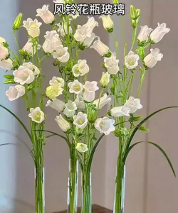 绿化景观设计，提升环境品质，创造宜人空间