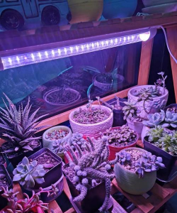 绿化景观设计，提升环境品质，创造宜人空间