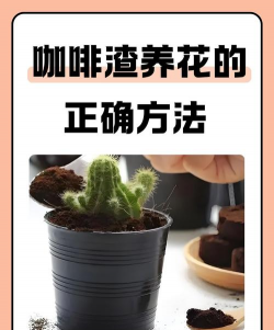 咖啡浓缩养花好吗