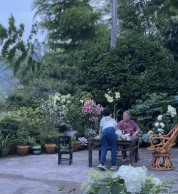 家庭养花用生根粉