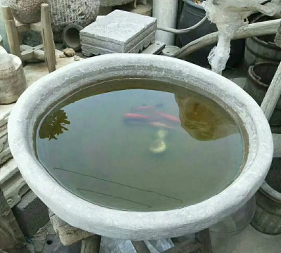 无土栽培技术，突破土壤限制，开启高效种植新篇章