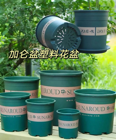 无土栽培技术，突破土壤限制，开启高效种植新篇章