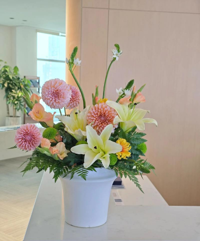 无土栽培技术，突破土壤限制，开启高效种植新篇章