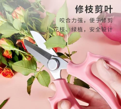 玫瑰花怎么养才不会枯萎，掌握浇水施肥技巧，轻松延长花期