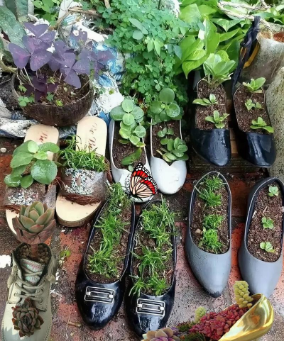 无土栽培技术，突破土壤限制，开启高效种植新篇章