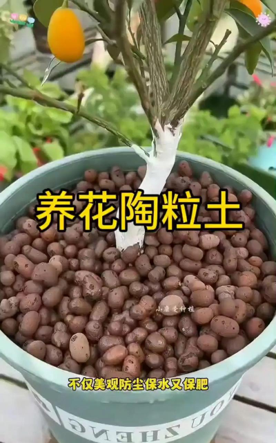 庭院景观绿化设计，打造舒适空间，提升生活品质