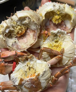 庭院景观绿化设计，打造舒适空间，提升生活品质