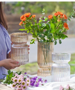 玫瑰花怎么养才不会枯萎，掌握浇水施肥技巧，轻松延长花期