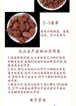 柿树虫病防治，识别常见虫害，掌握有效方法