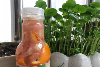 家庭养花用生根粉