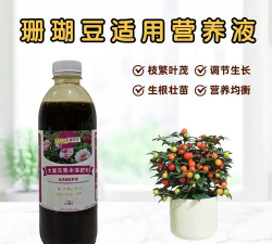 家庭养花用生根粉