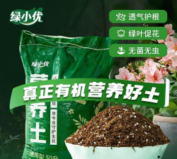 绯花玉怎么养，掌握关键技巧，轻松养出好状态