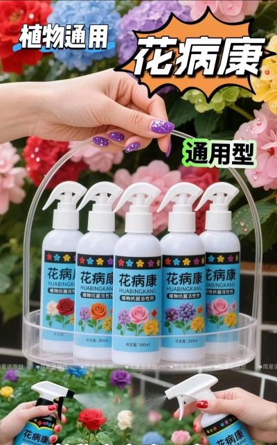 绯花玉怎么养，掌握关键技巧，轻松养出好状态