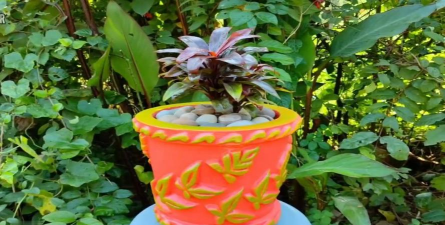 芍药花怎么养，掌握关键要点，花开更鲜艳