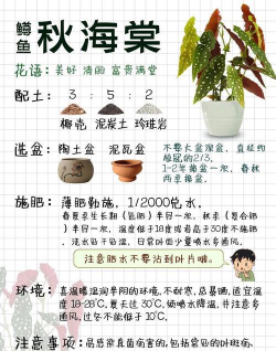 绿化景观设计，提升环境品质，创造宜人空间