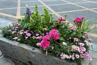 绿化景观设计，提升环境品质，创造宜人空间