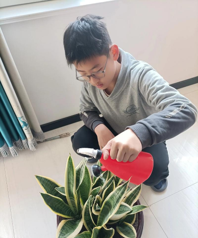 玫瑰花怎么养才不会枯萎，掌握浇水施肥技巧，轻松延长花期