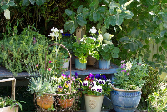 绿化景观设计，提升环境品质，创造宜人空间