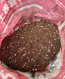 无土栽培技术，突破土壤限制，开启高效种植新篇章