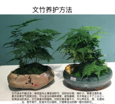 余干县养花