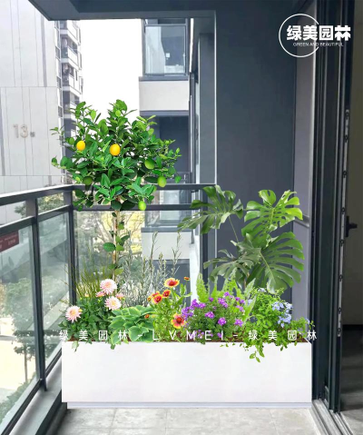 绿化景观设计，提升环境品质，创造宜人空间