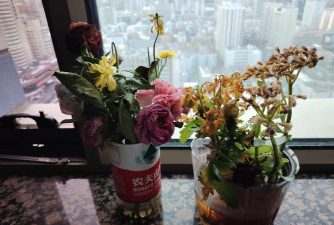 芍药花怎么养，掌握关键要点，花开更鲜艳