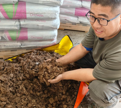 家庭养花用生根粉