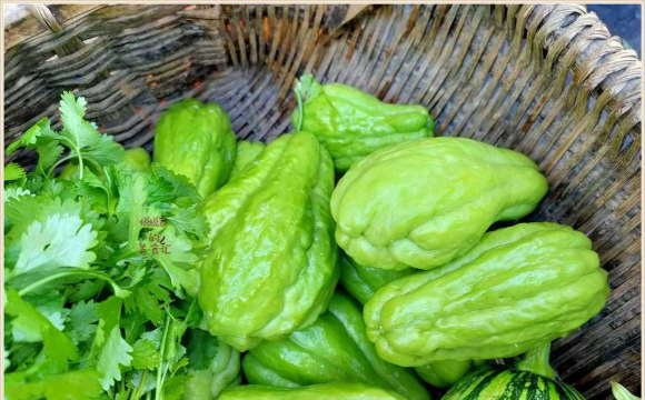 越南瓜是什么形状