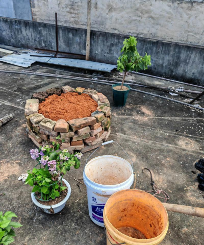 家庭养花用生根粉