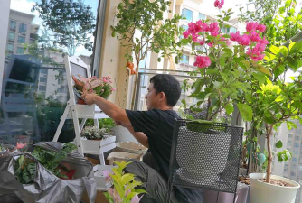 家庭养花用生根粉