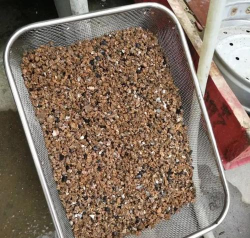 别墅园林绿化设计，打造私密空间，提升居住品质