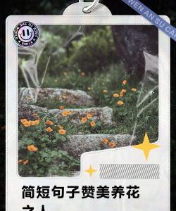 别墅园林绿化设计，打造私密空间，提升居住品质