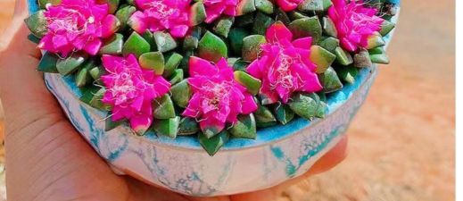 绿化景观设计，提升环境品质，创造宜人空间