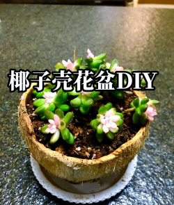 绿化景观设计，提升环境品质，创造宜人空间