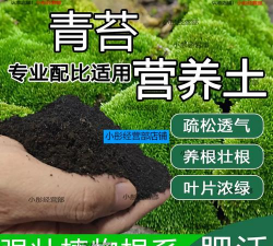 葡萄栽培，掌握关键技术，实现优质丰产