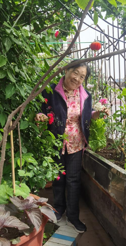 葡萄栽培，掌握关键技术，实现优质丰产