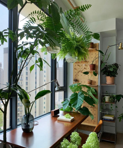 别墅园林绿化设计，打造私密空间，提升居住品质