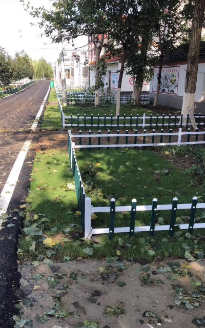 柿树虫病防治，识别常见虫害，掌握有效方法