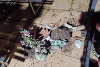 绿化景观设计，提升环境品质，创造宜人空间