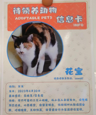 绿化景观设计，提升环境品质，创造宜人空间