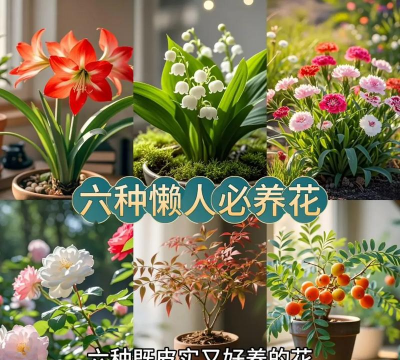 绿化景观设计，提升环境品质，创造宜人空间