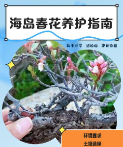 庭院景观绿化设计，打造舒适空间，提升生活品质