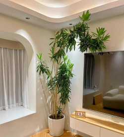 庭院景观绿化设计，打造舒适空间，提升生活品质