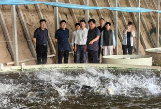 玫瑰花怎么养才不会枯萎，掌握浇水施肥技巧，轻松延长花期