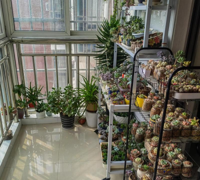 绿化景观设计，提升环境品质，创造宜人空间