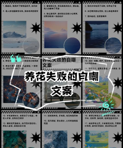 玫瑰花怎么养才不会枯萎，掌握浇水施肥技巧，轻松延长花期