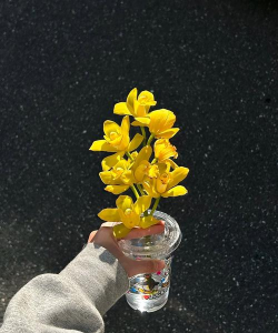 别墅园林绿化设计，打造私密空间，提升居住品质